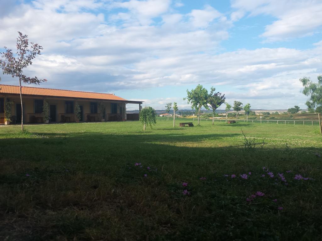 Agriturismo San Matteo Tarquinia Quarto foto