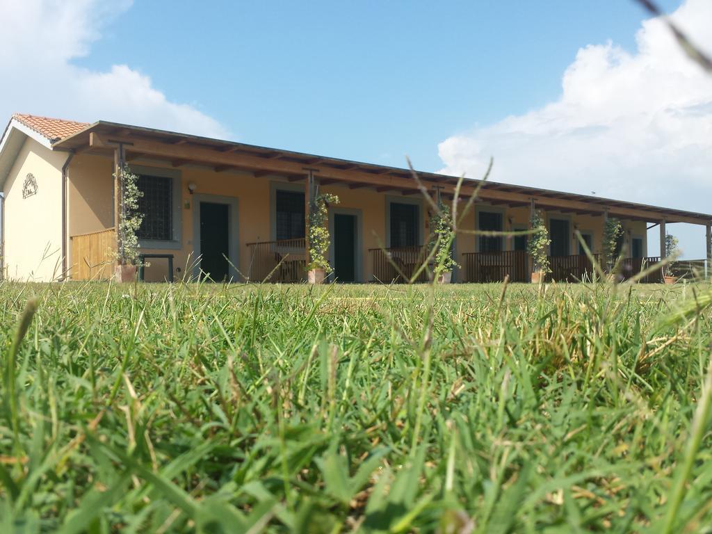 Agriturismo San Matteo Tarquinia Quarto foto