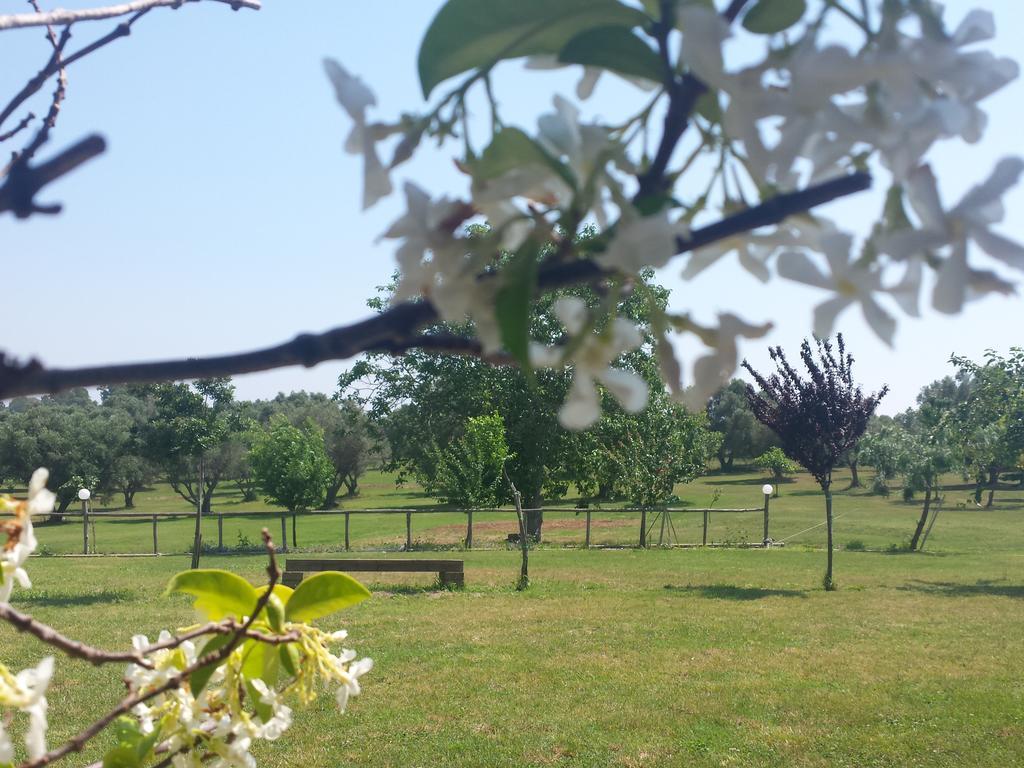 Agriturismo San Matteo Tarquinia Quarto foto
